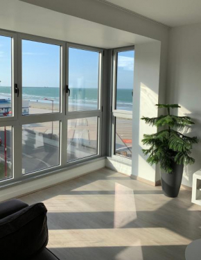 La régate Wimereux - vue mer